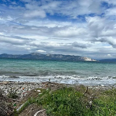 On The Beach *