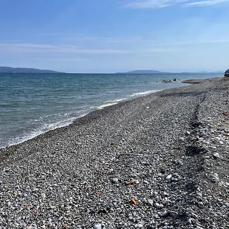 On The Beach Artemisio
